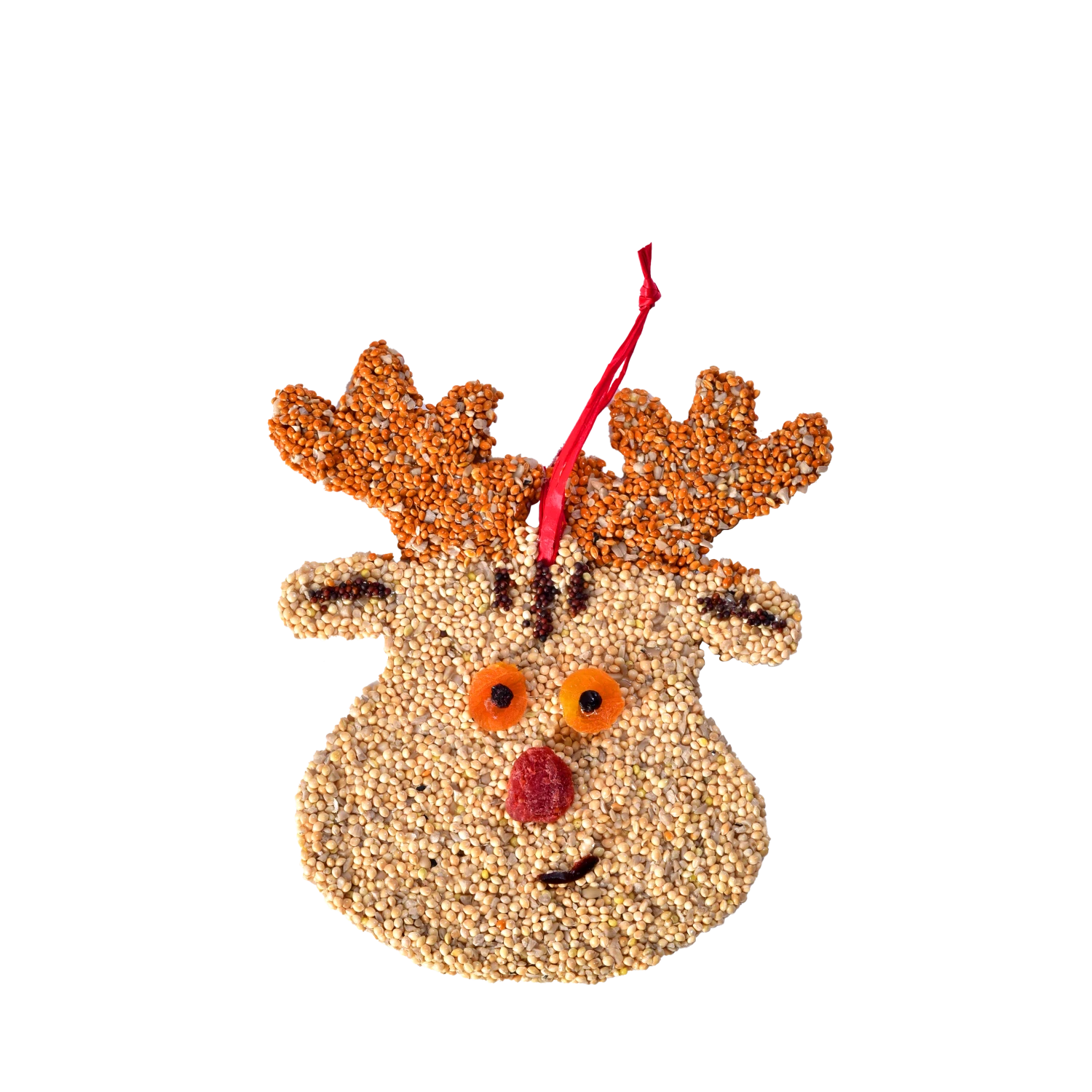 Mr. Bird Rudolph The Red Nose Reindeer Christmas Cookie Bird Seed Ornament 1 Mr. Bird Rudolph The Red Nose Reindeer Christmas Cookie Bird Seed Ornament